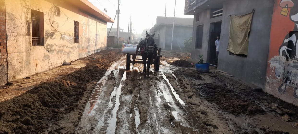 Tender process started for cleaning in dairy complex, Yamunanagar