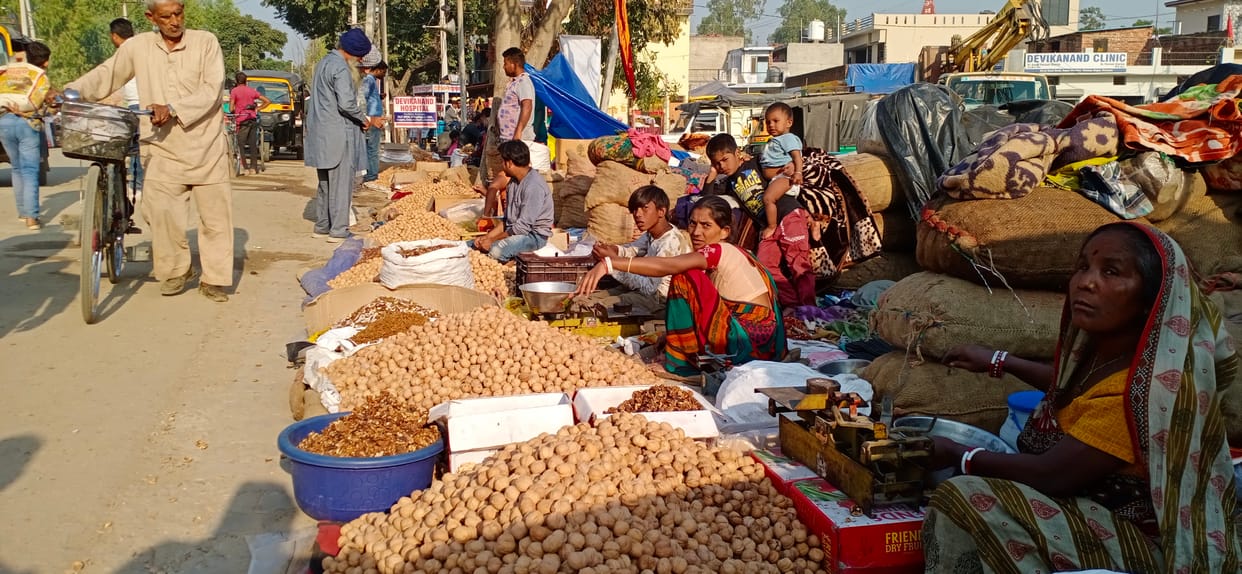 Devotees are pleased with paper, jaggery and katha nut, Yamunanagar
