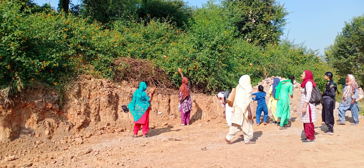 Devotees pelt stones on the mound of Raja Sandha, Yamunanagar