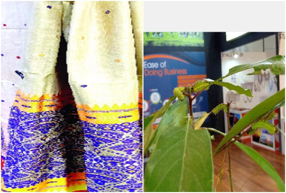 Pragati Maidan Trade Fair Moga silk is shining like gold attracting people doing sari worth lakhs of rupees