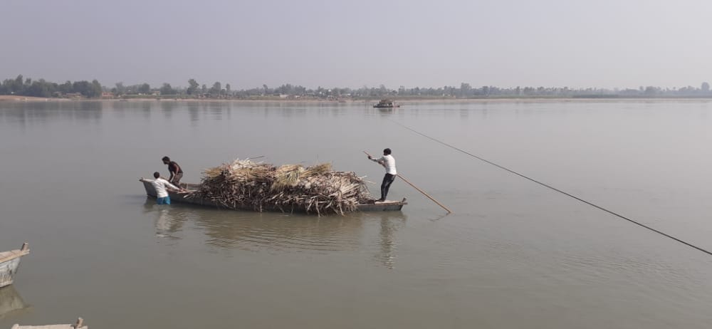 Lessons not learned from the accident, sugarcane being brought by boat