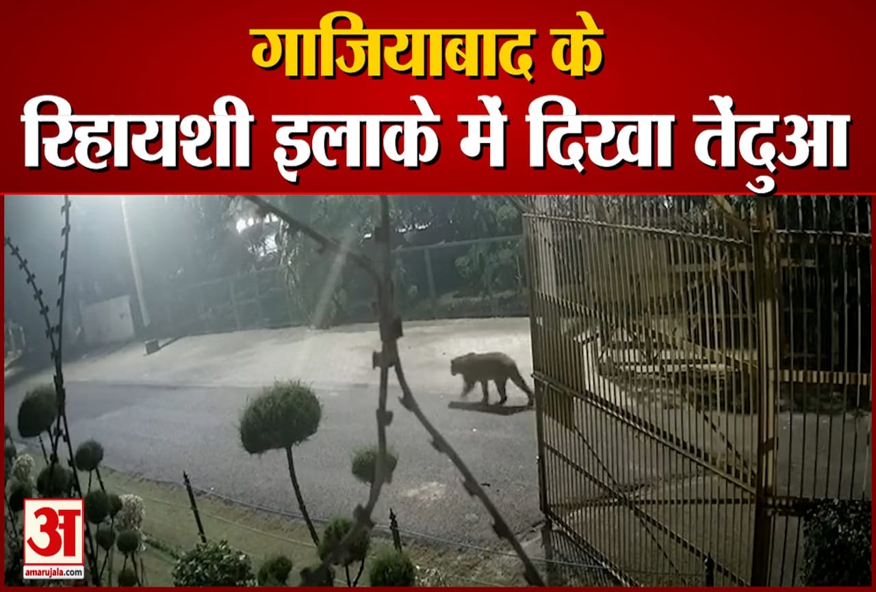 गाजियाबाद के राजनगर में नजर आया तेंदुआ