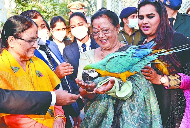 Savita Kovind inaugurated birdhouse in Chandigarh