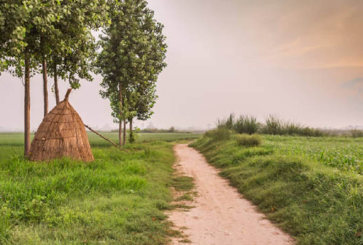 gachwaha community women become widows even their husband is alive Know about this tradition