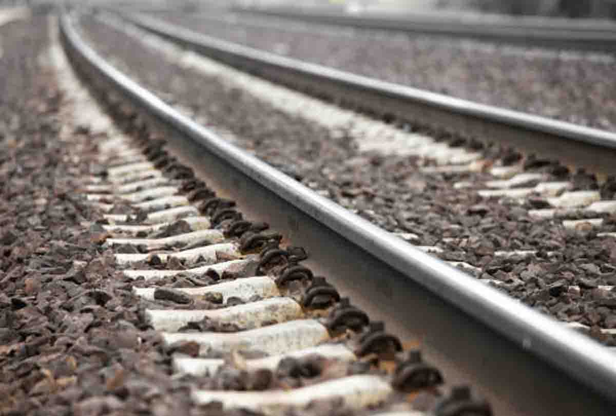 Farrukhabad: 10 cows killed after being hit by a train