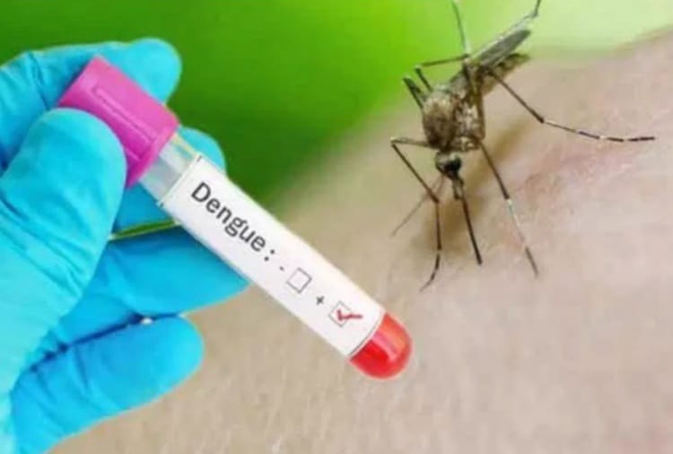 Number of Dengue Patients is not decreasing in Haryana 
