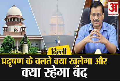 Delhi Government Steps taken To Control Pollution Know where what happened What things were banned