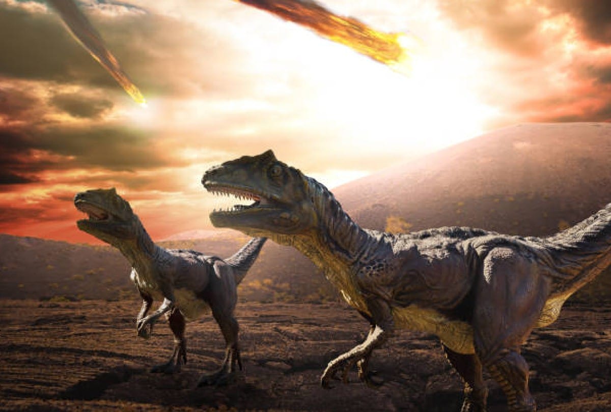 30 eggs of giant dinosaur titanosaur found in Spain fossilized nest