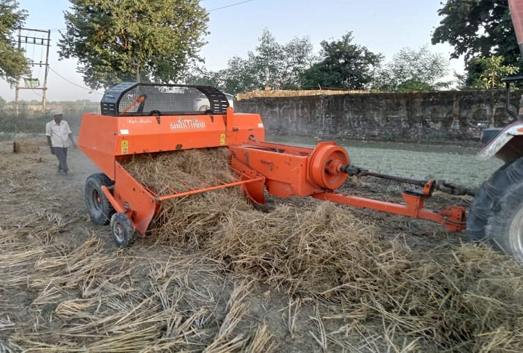 Sonipat's Rahul Chauhan is saving the environment by producing mushrooms from stubble and making manure
