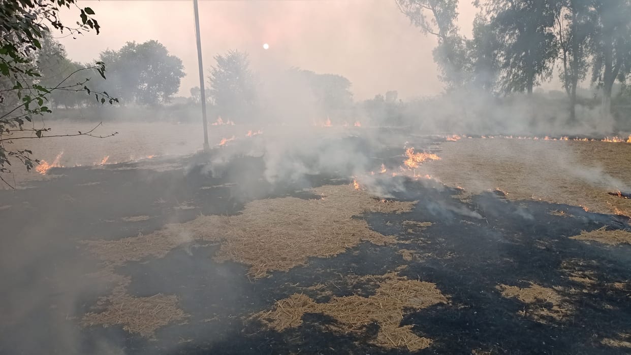 The process of burning stubble is not stopping, now students and youth will spread awareness