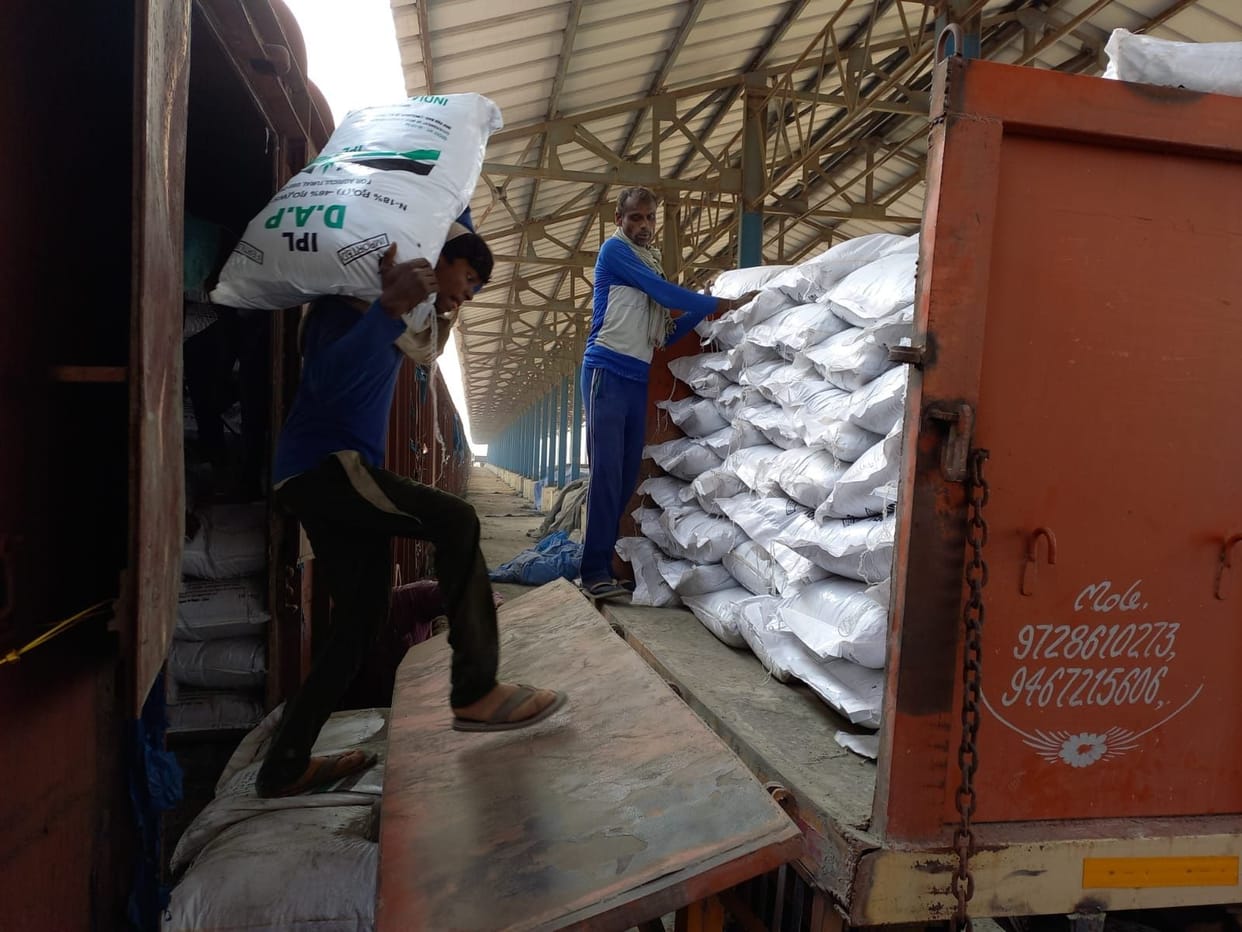 Fertilizer being sent to five districts, Jhajjar got 15 thousand bags
