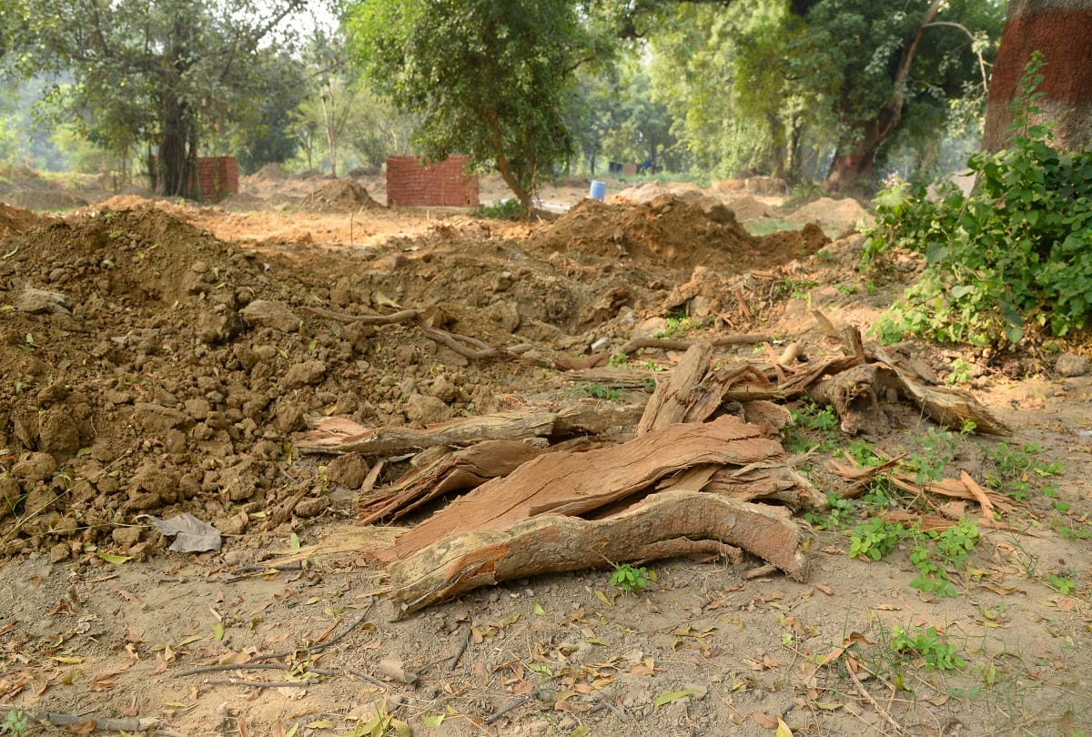 Azad Park: Trees were to be cut for tennis court, work stopped on protest