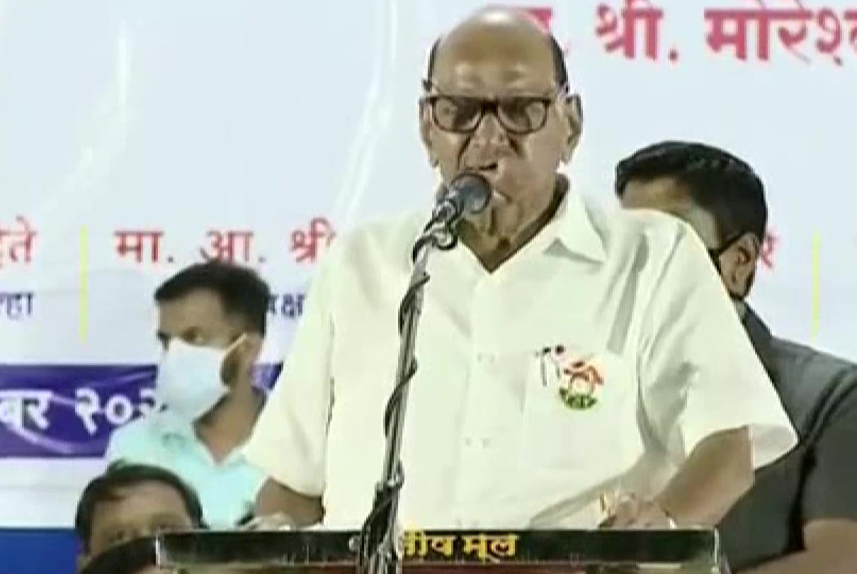Sharad Pawar said That BJP will have to pay the price of Deshmukhs arrest targeted BJP Latest News Update