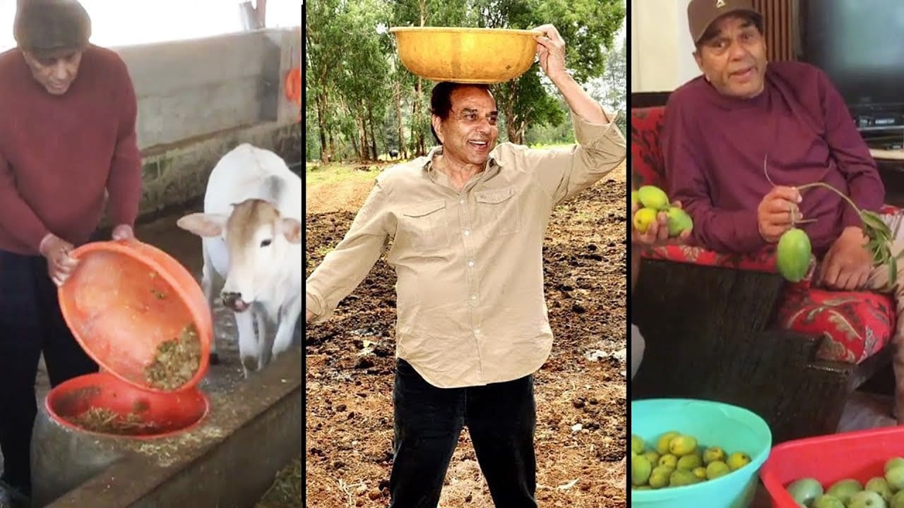 Dharmendra says thank you as Sunny Deol takes him to Manali watch