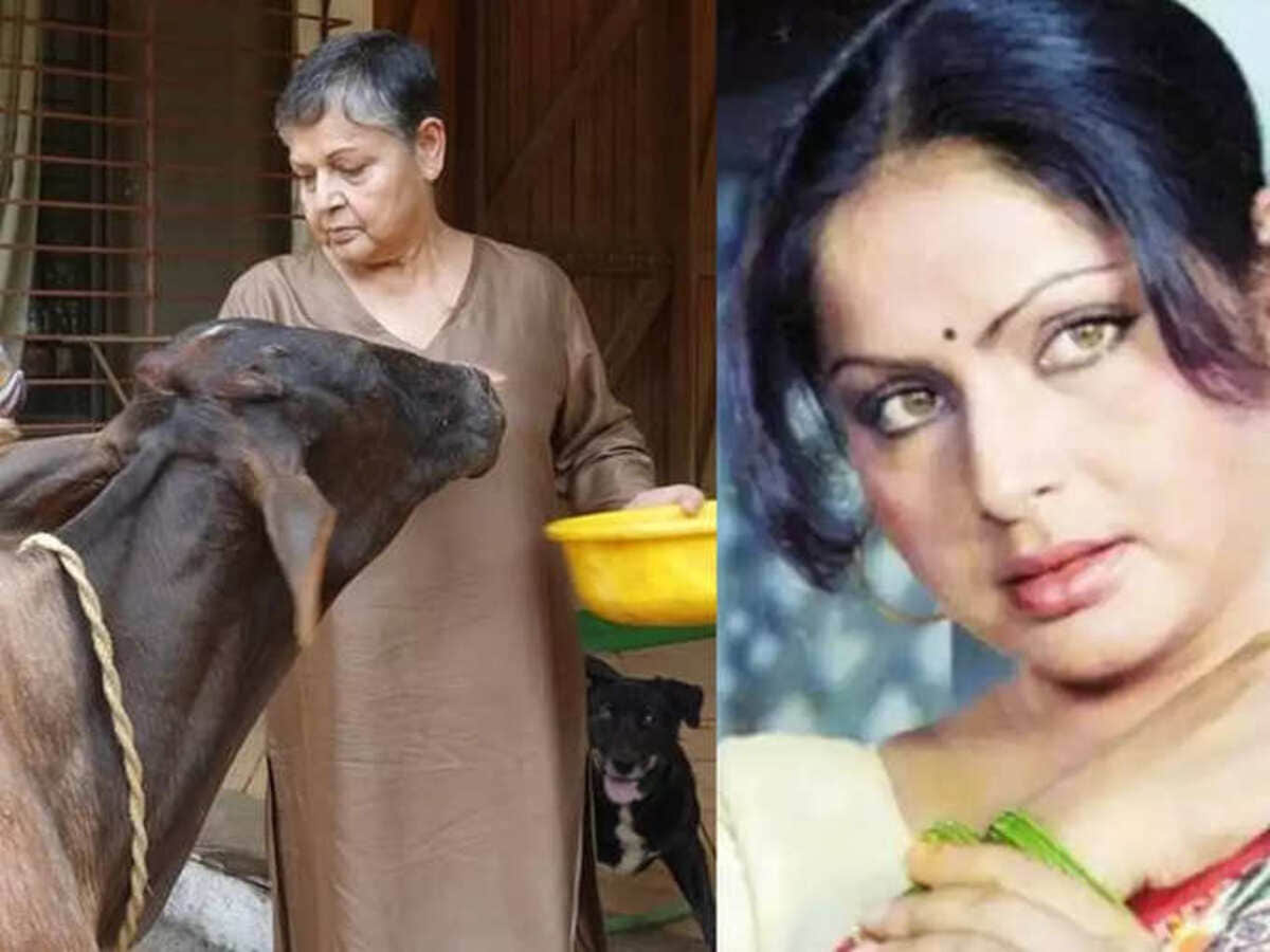 Farm Laws Repeal: Famous Bollywood actors Juhi chawla to Dharmendra, who have left acting and become farmers