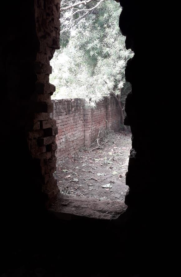 fathepur news,Thieves took away cash and jewelry by cutting the wall