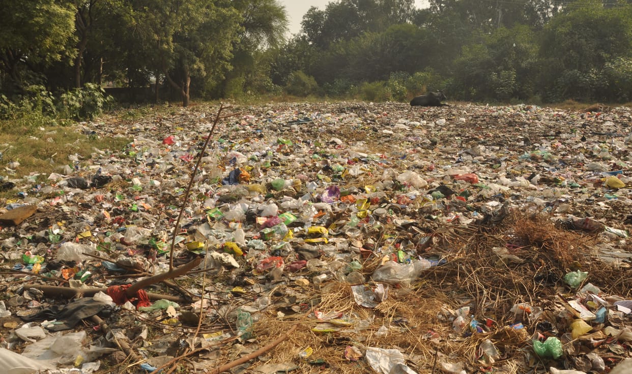 The city will get the Garbage Free City Award tomorrow, only the councilor and the head are raising questions