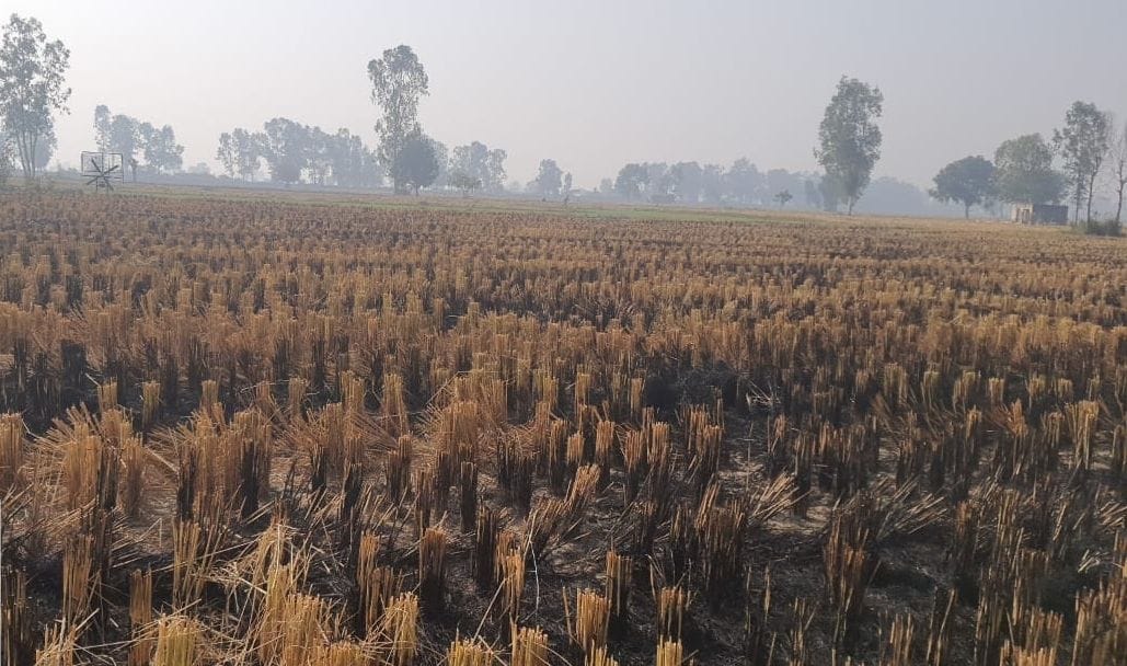 Five farmers fined for burning stubble in the fields