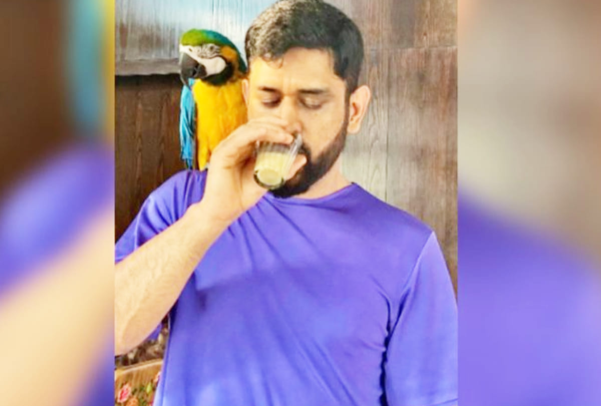 MS Dhoni on a Chai Date with honey Photos shared by Sakshi Singh Dhoni | India vs New Zealand 2nd t20i in Ranchi stadium