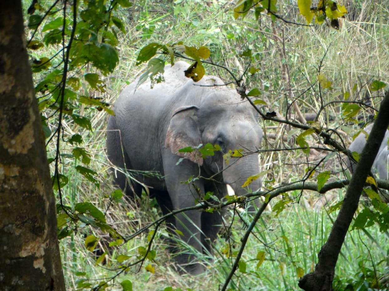 bahraich