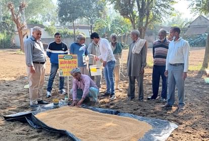 खेतीबाड़ी: प्रदेश में बोरी वाली दानेदार खाद की सप्लाई घटाने की तैयारी, नैनो यूरिया-डीएपी को दिया जाएगा बढ़ावा IFFCO Focus on Nano Liquid Urea and DAP Bag Fertilizer supply will be reduced by 25 percent