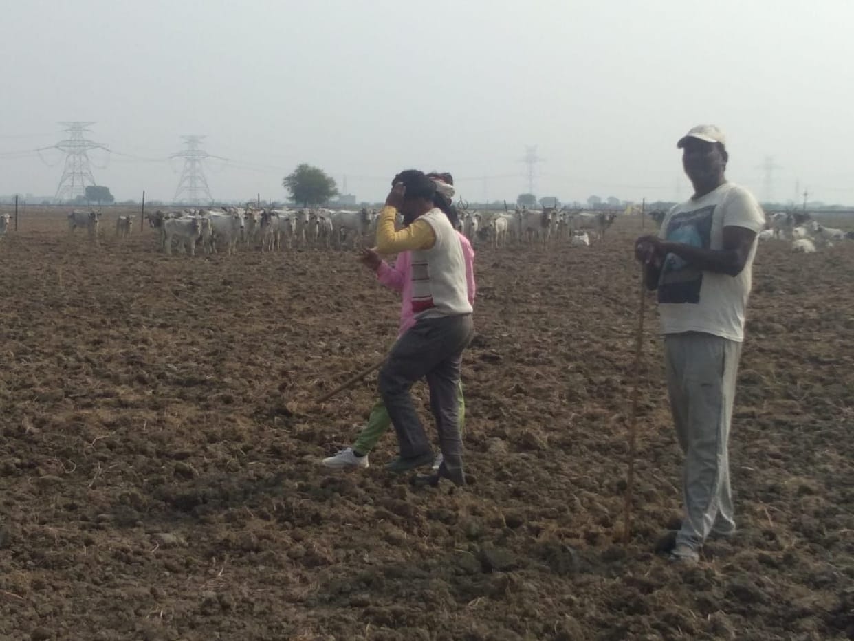 jalaun news