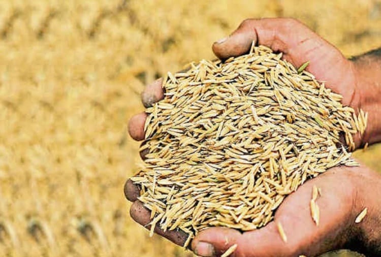 PM Narendra Modi shown ray of hope to farmers by Announcing Effective Implementation of MSP 