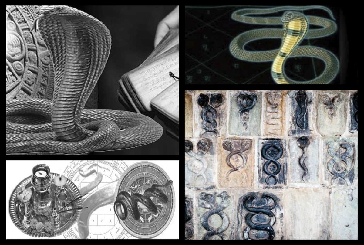 Mahashivratri 2023 Astro Remedies on Kaalsarp dosh during Mahashivratri ki puja