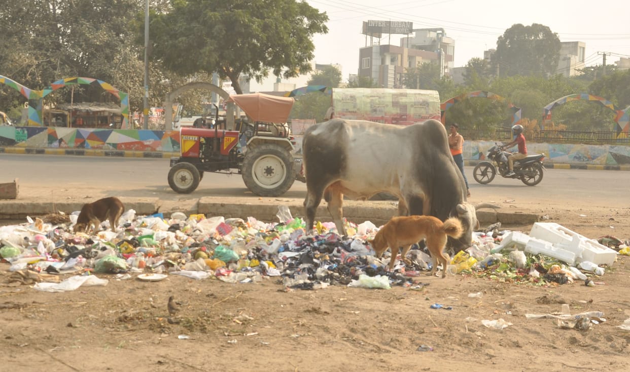 Cleaning once in two to four days in residential areas