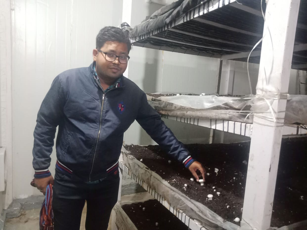 No job, started earning by cultivating mushrooms