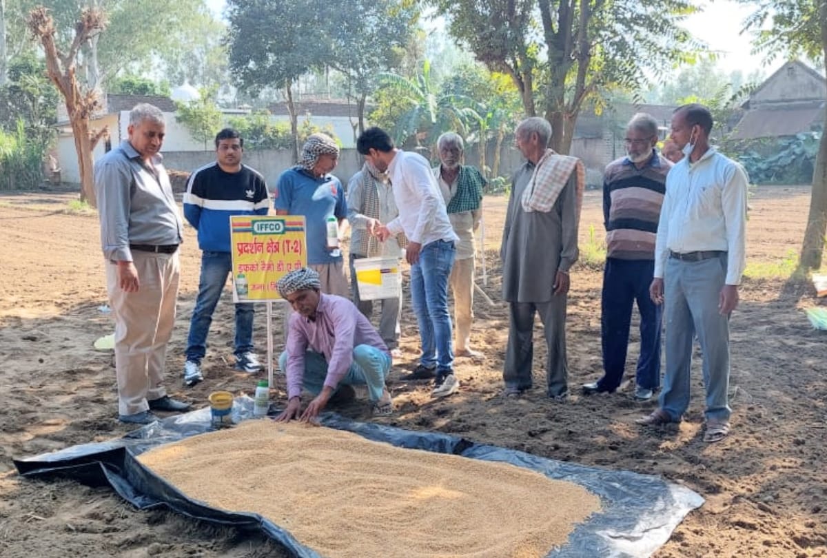 IFFCO Focus on Nano Liquid Urea and DAP  Bag Fertilizer supply will be reduced by 25 percent