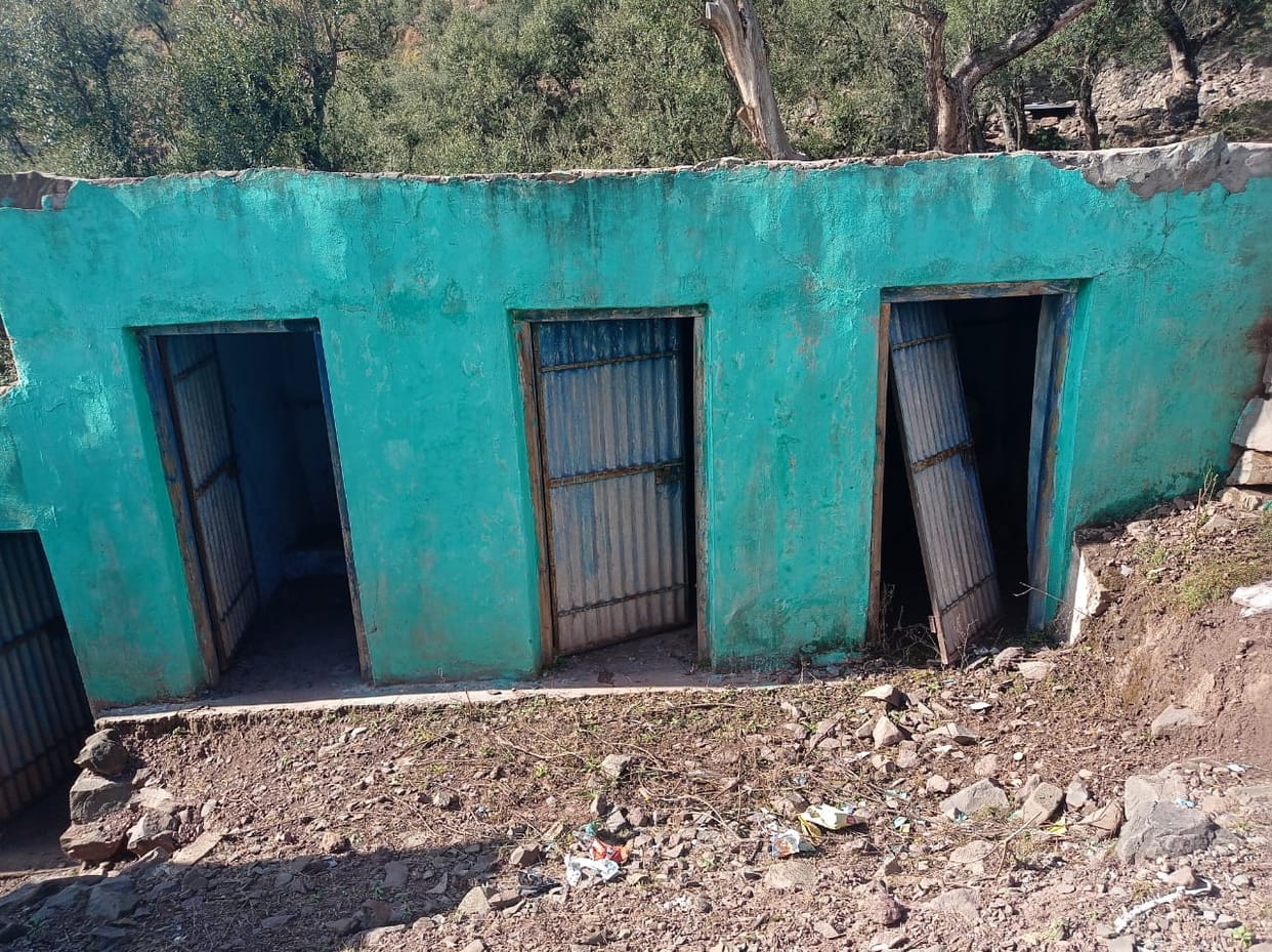 Government school