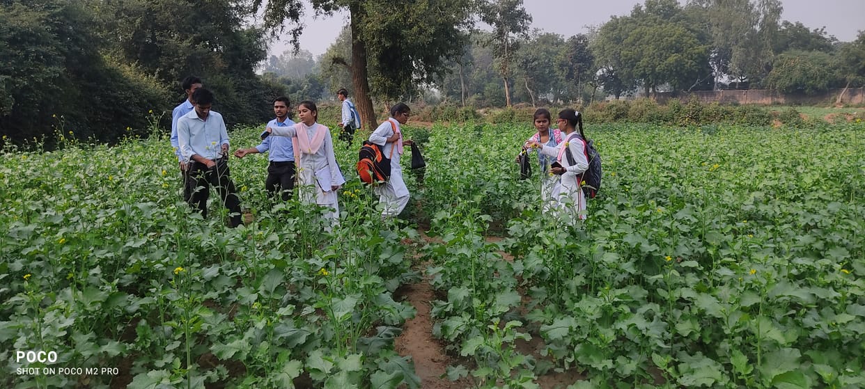 kisan