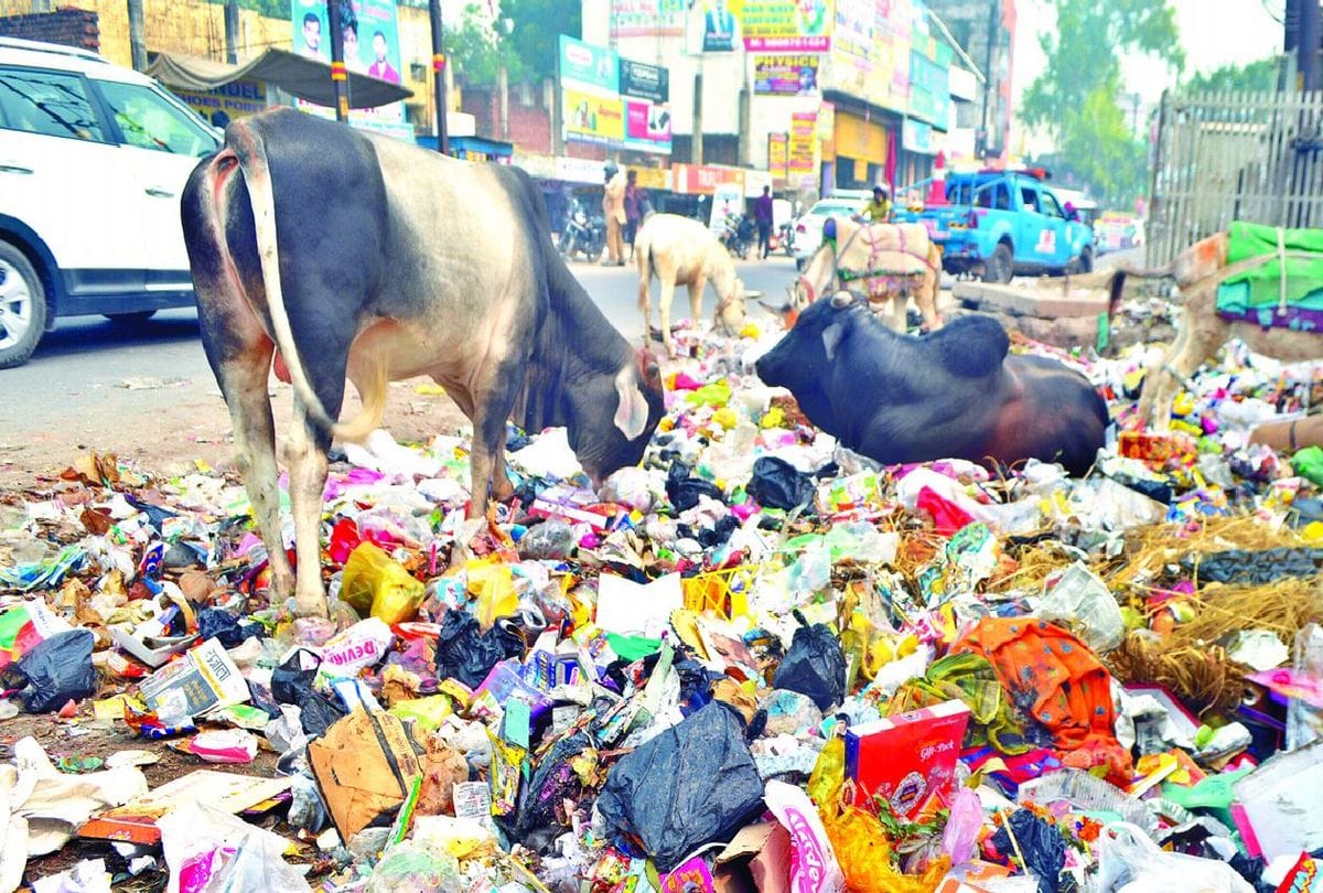 Swachh Survekshan 2021 ranking of agra dropped due to three reasons in the Sanitation system