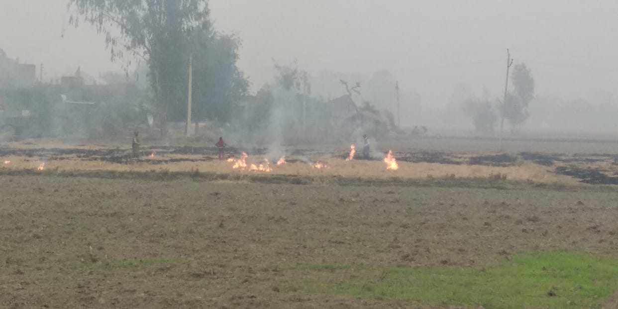 parali