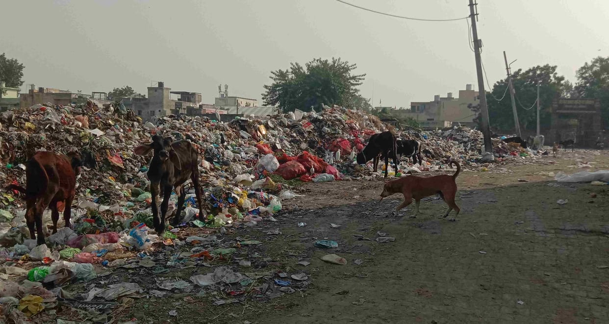 Cleanliness ranking : Sonipat down 132 places, got 235th place in the country