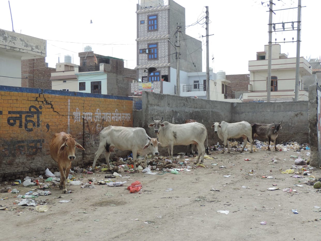 Swachh Survekshan: Giri Sirsa's ranking as compared to last year