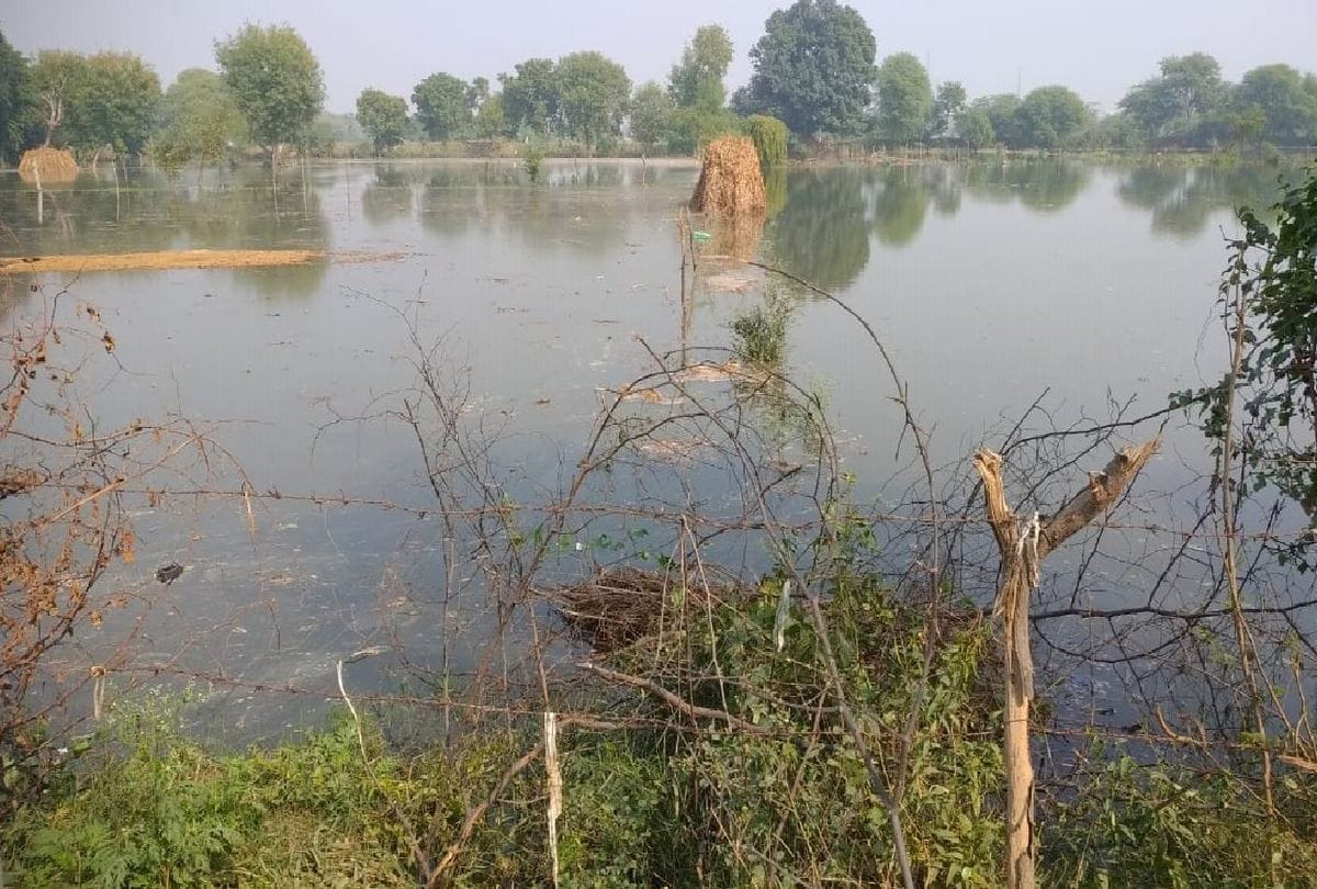 Chambal River Water Lavel Increased Reached In Jaitpur Village
