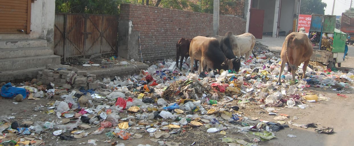 Cleanliness Survey: Kaithal is backward in cleanliness, 304 ranking