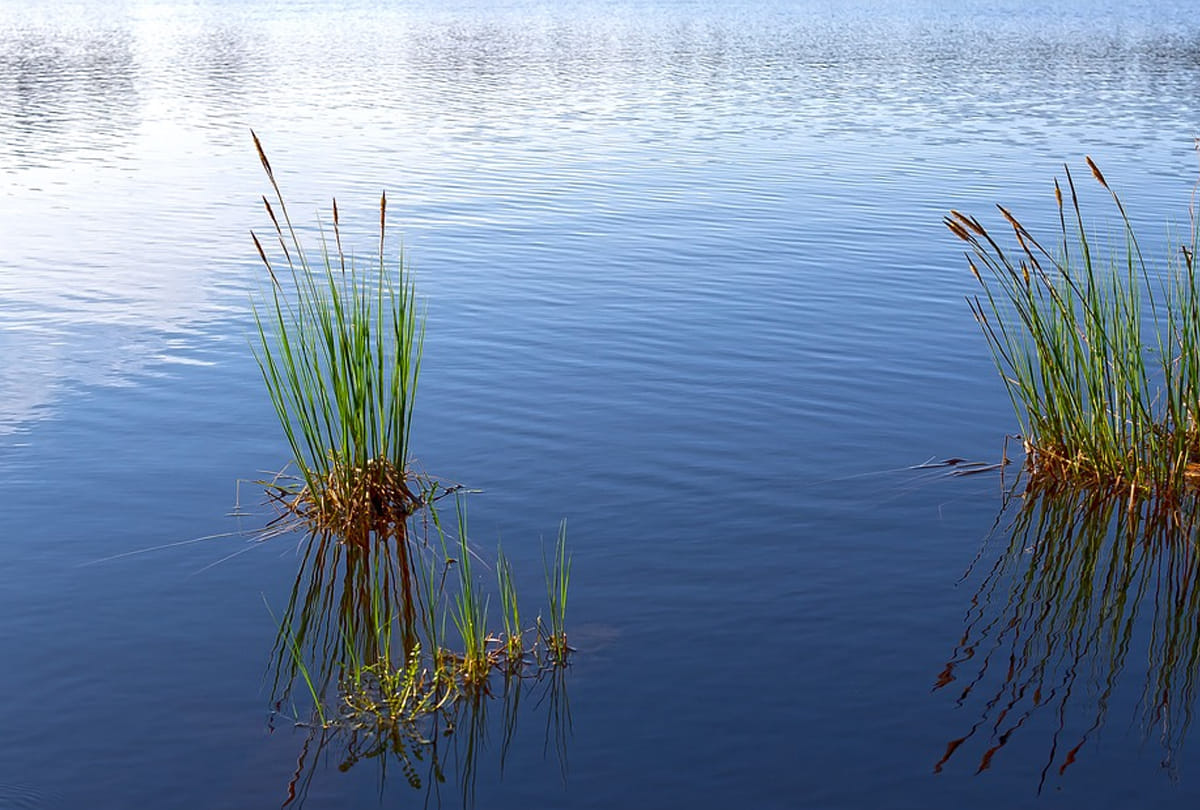 UP ranked best state in water conservation efforts, Rajasthan second: Jal Shakti Ministry 