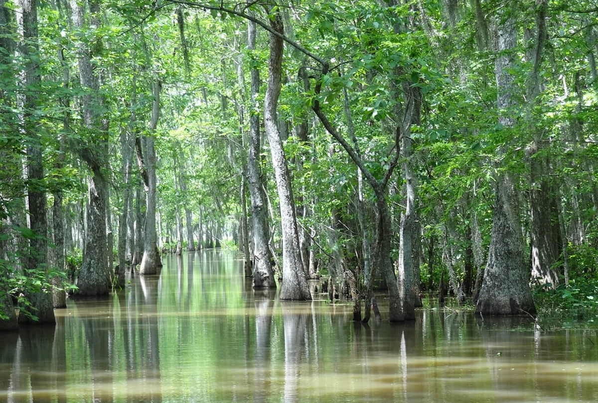 fosse dionne spring water comes out here on earth scientists fail to find source know the mystery behind it