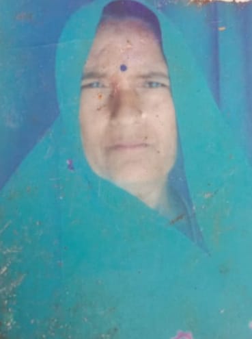 bijli