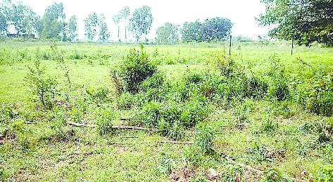 In the absence of maintenance, the mini stadium made of 23 lakhs is dilapidated