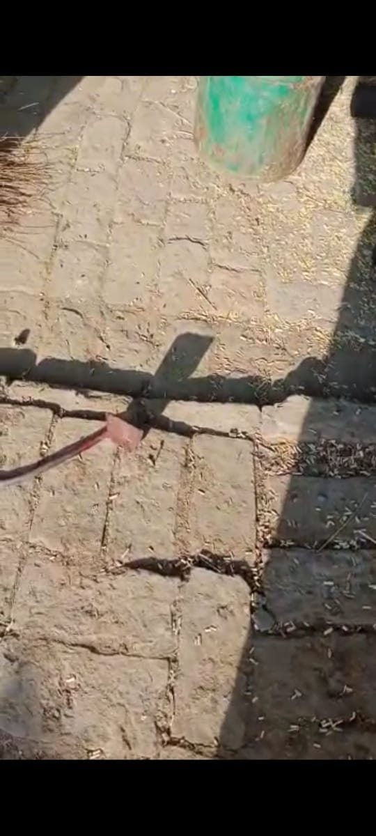 Brother killed by hitting him on his head