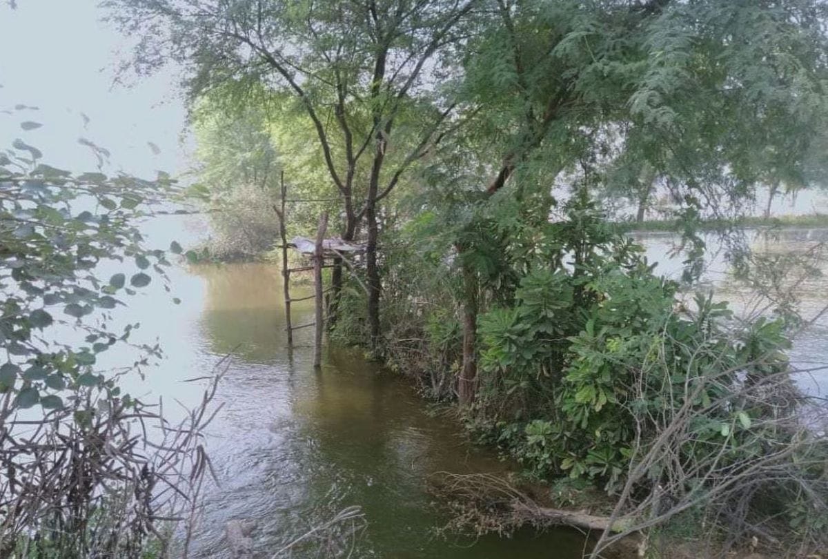Chambal River Water Lavel Increased Reached In Jaitpur Village