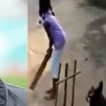 सचिन तेंदुलकर ने कुत्ते के क्रिकेट खेलने का वीडियो शेयर किया है