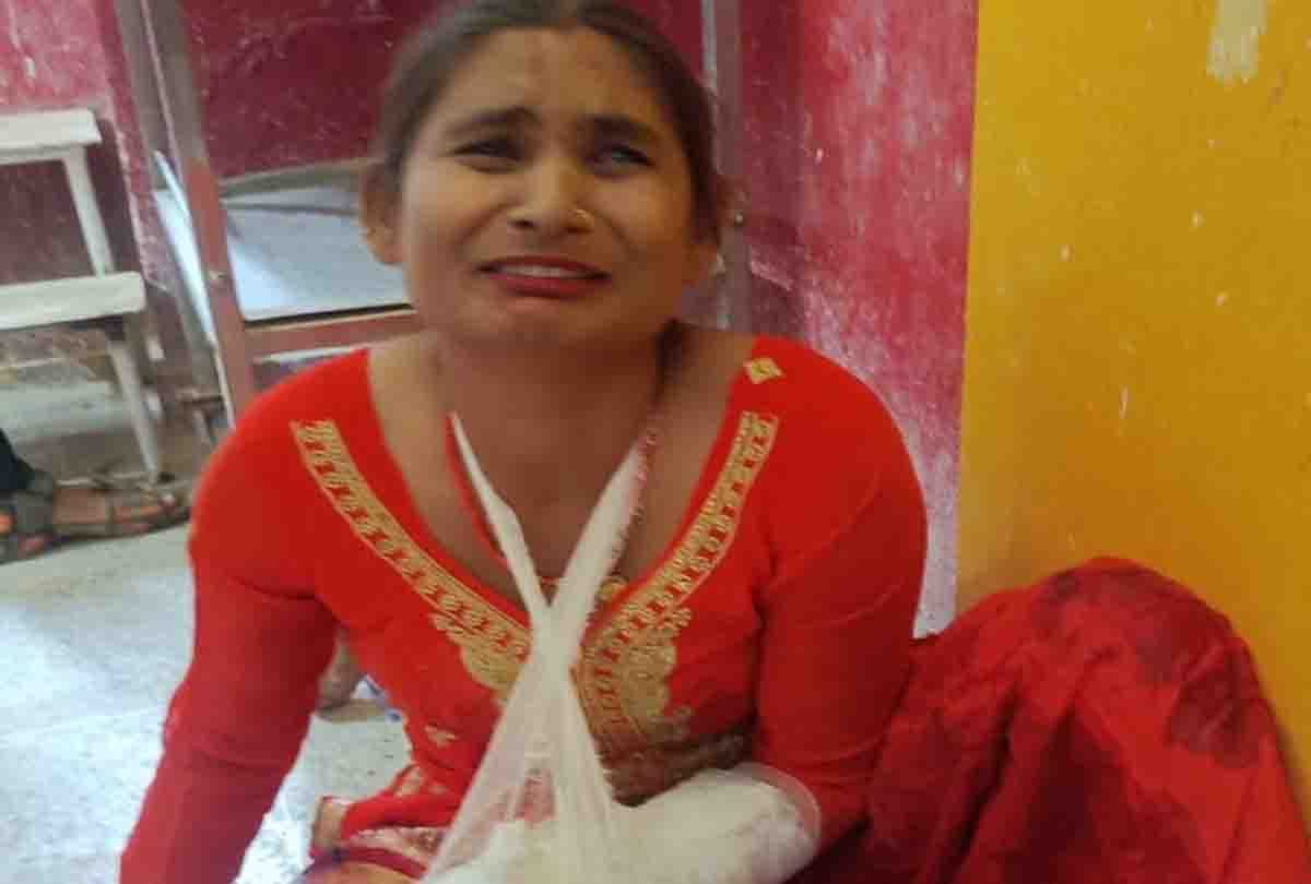 Road accident in Hamirpur: Bike collided with wild animal, husband dies, wife injured