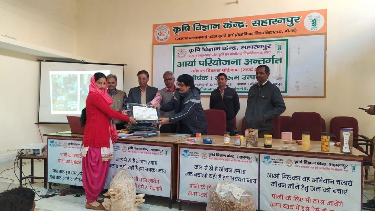 Adopt self-employment by cultivating mushroom