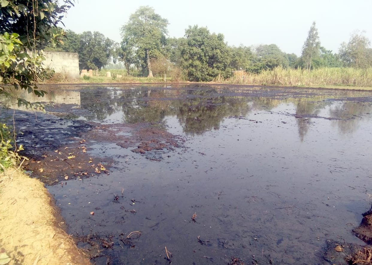 After Choia, now the fear of death in Swahedi
