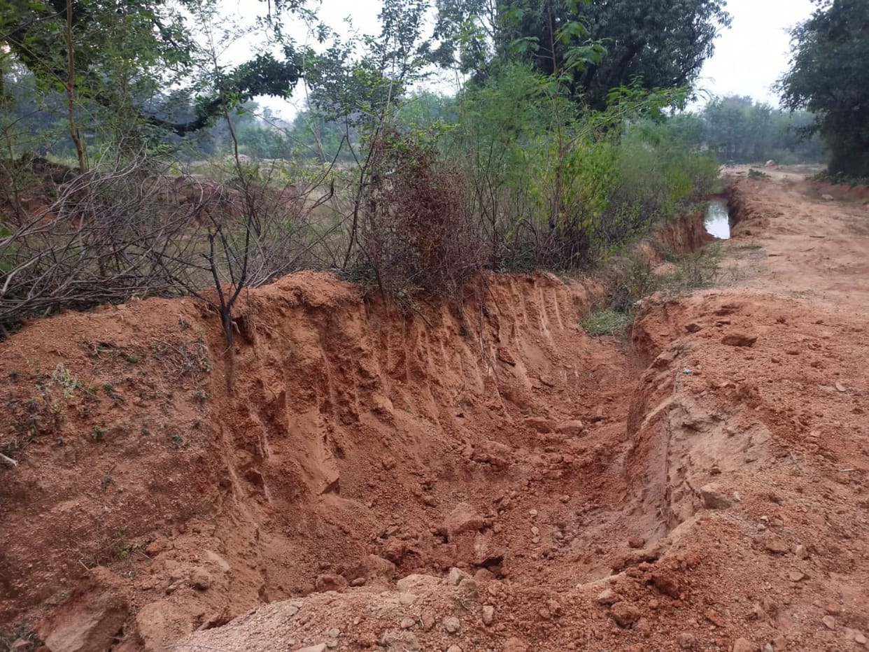 mnrega plantation, destroyed